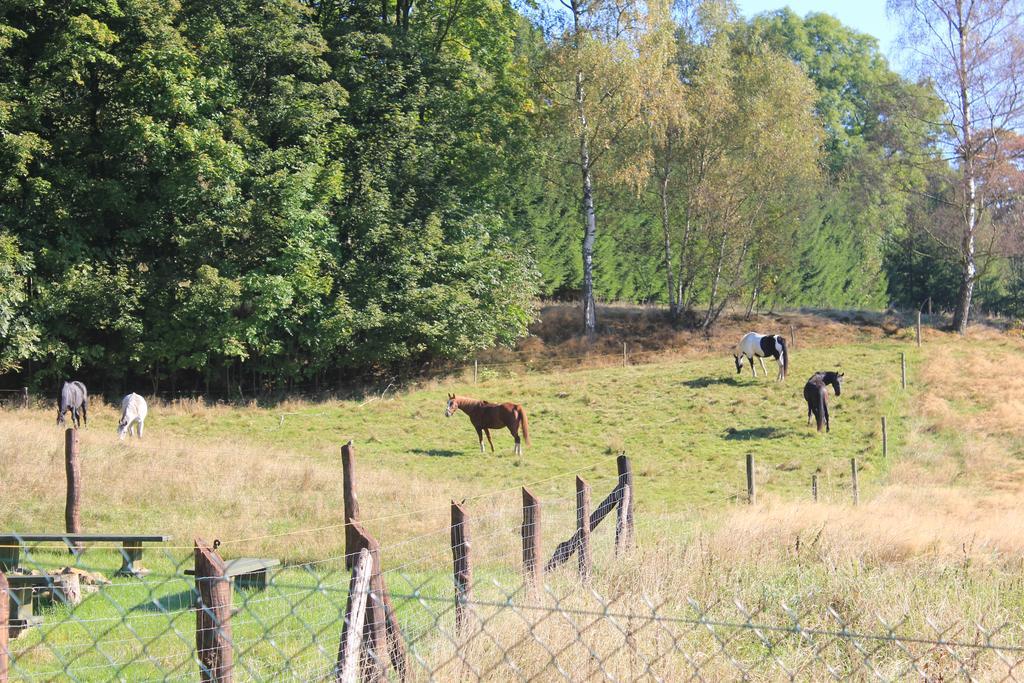 Sloneczna Zagroda - Sunny Ridge Farm Laczna  Exterior foto
